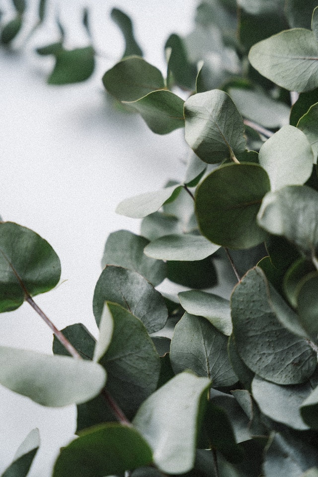 Photo by Iain Robertson on Unsplash