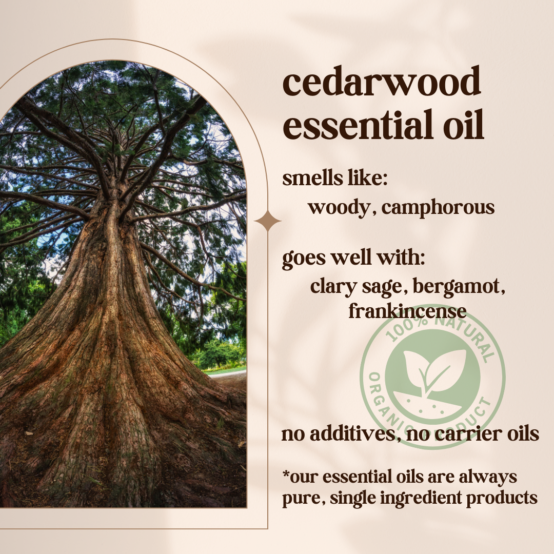 Avivni Cedarwood Essential Oil- 100% Pure, Organic, Therapeutic Grade, 0.33oz (10ml)