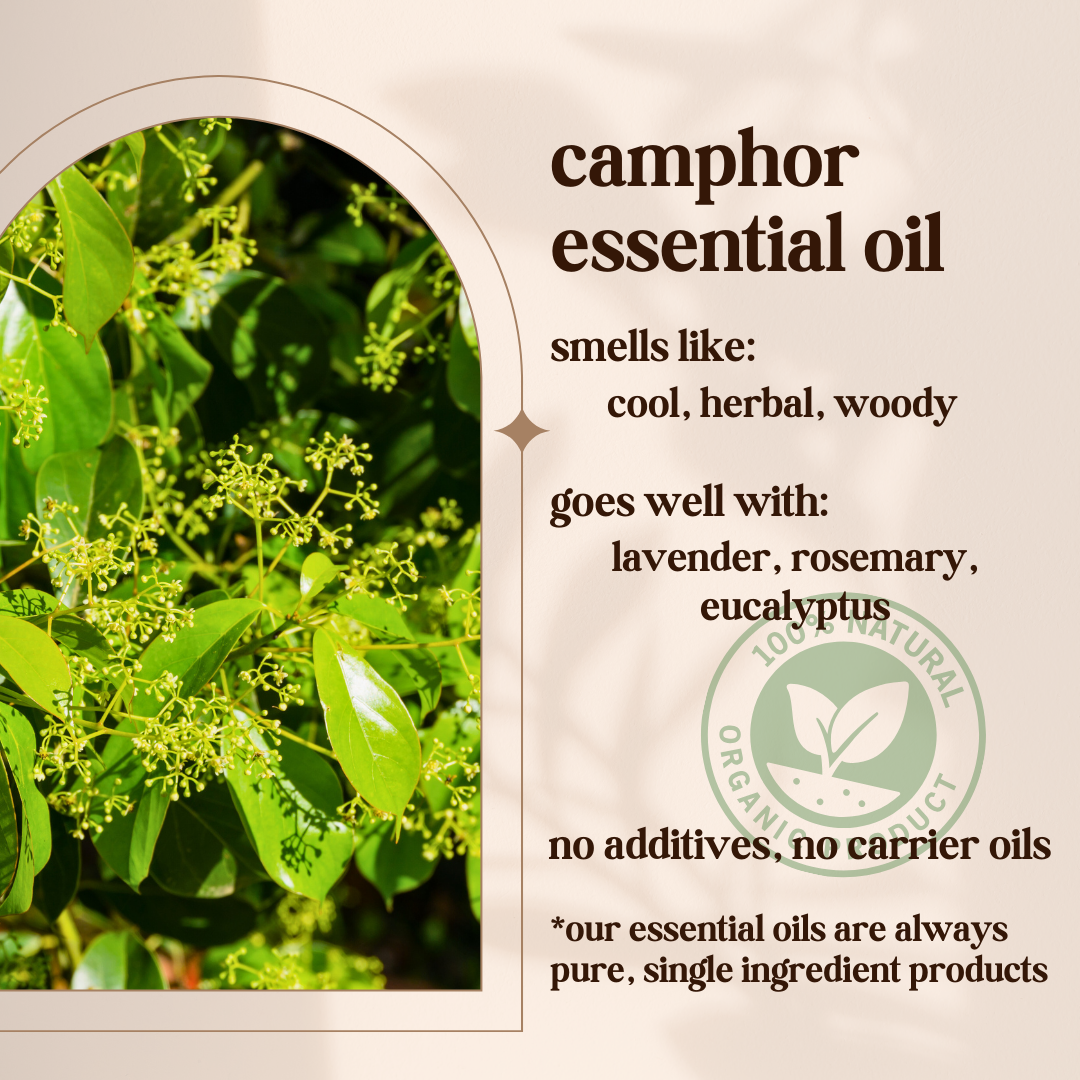 Avivni Camphor Essential Oil- 100% Pure, Organic, Therapeutic Grade, 0.33oz (10ml)