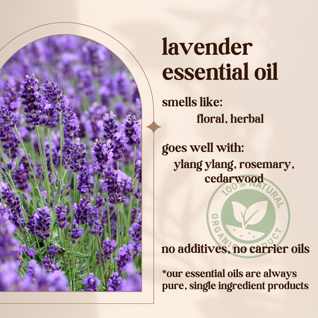 Avivni French Lavender Essential Oil- 100% Pure, Organic, Therapeutic Grade, 0.33oz (10ml)