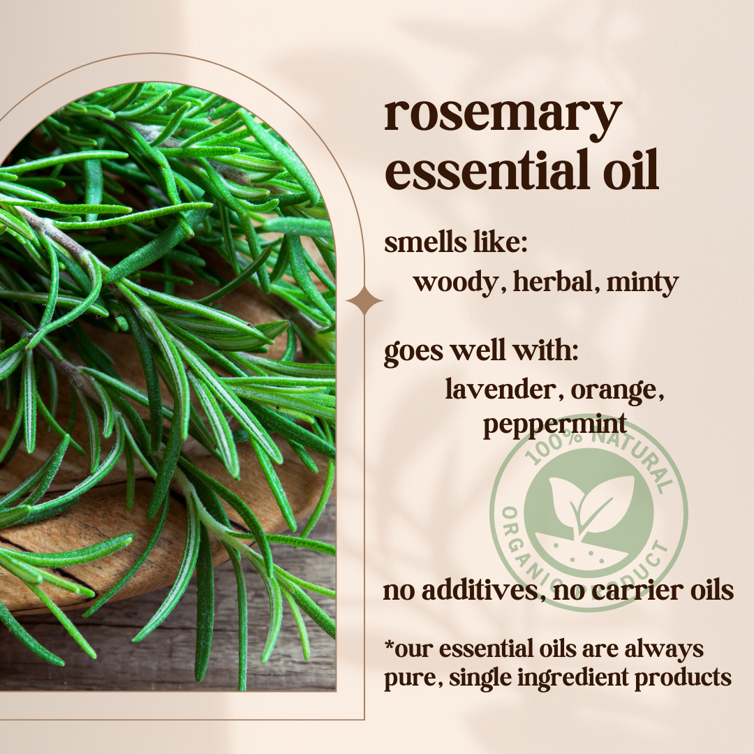 Avivni Rosemary Essential Oil- 100% Pure, Organic, Therapeutic Grade, 0.33oz (10ml)