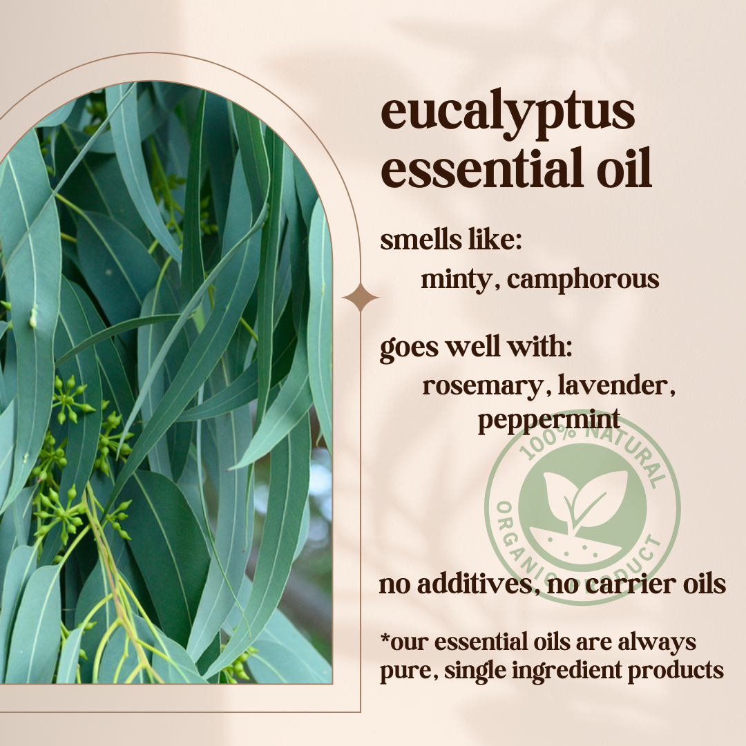 Avivni Eucalyptus Essential Oil- 100% Pure, Organic, Therapeutic Grade, 0.33oz (10ml)