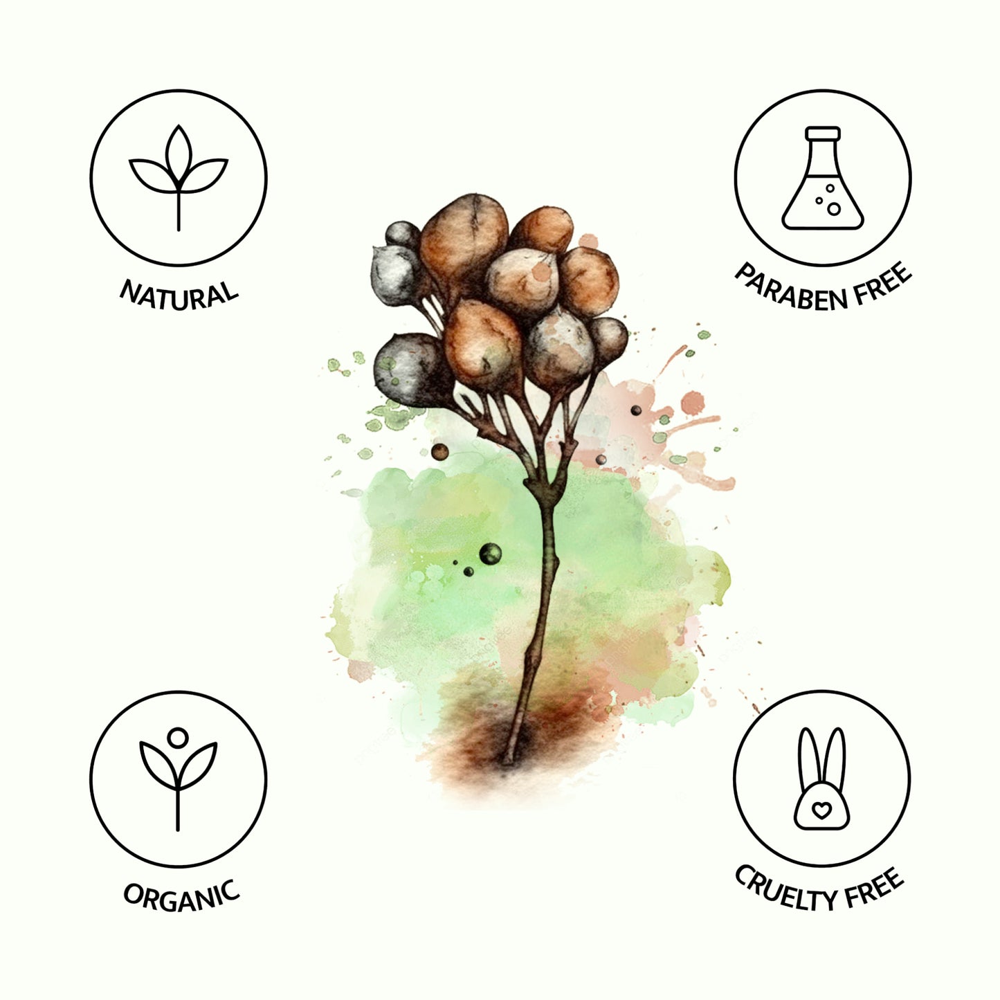 Avivni Camphor Essential Oil- 100% Pure, Organic, Therapeutic Grade, 0.33oz (10ml)