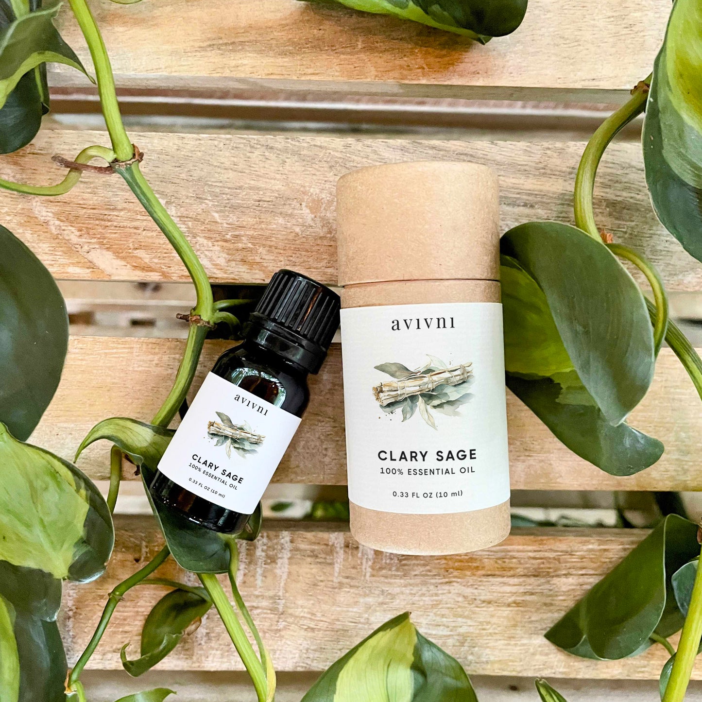 Avivni Clary Sage Essential Oil- 100% Pure, Organic, Therapeutic Grade, 0.33oz (10ml)