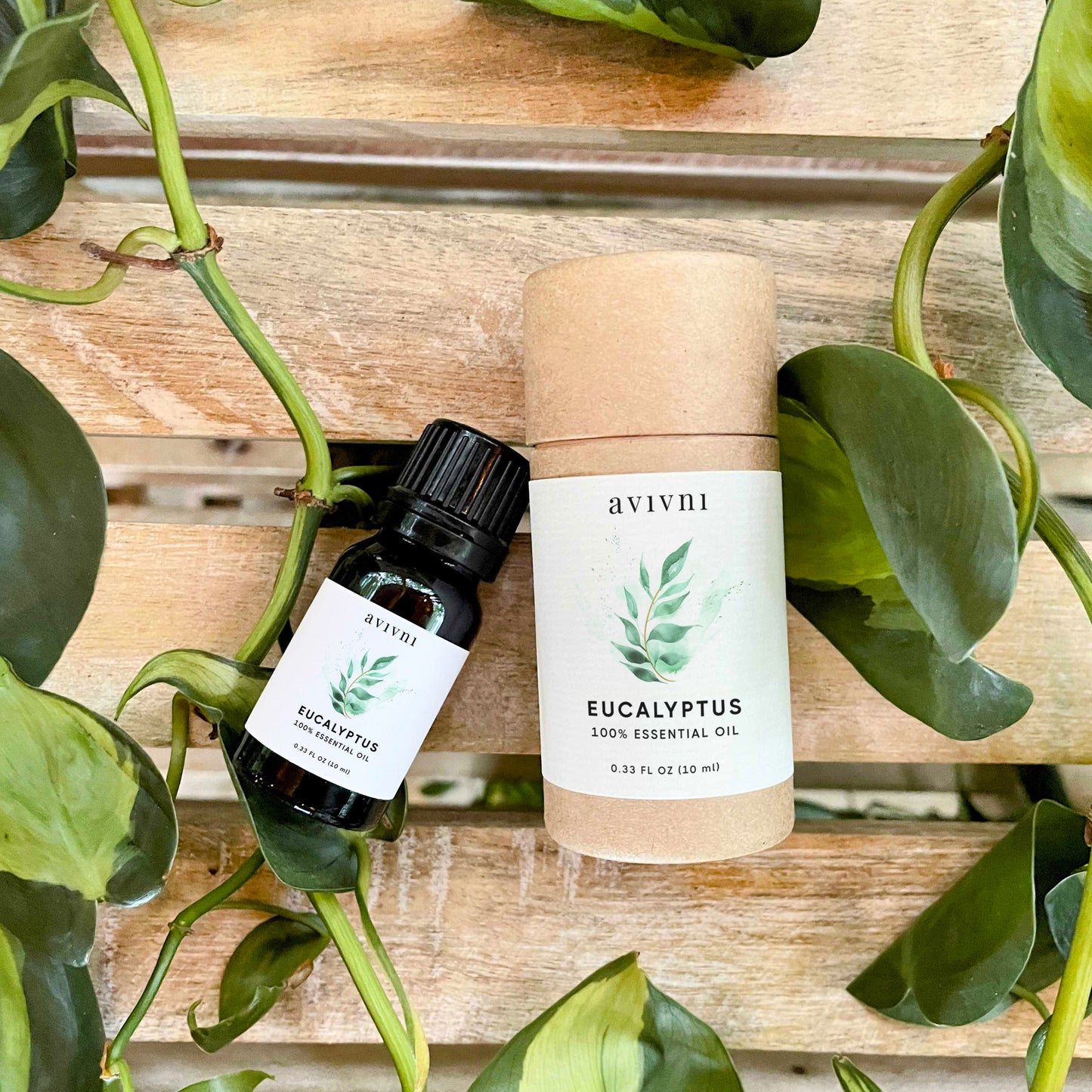 Avivni Eucalyptus Essential Oil- 100% Pure, Organic, Therapeutic Grade, 0.33oz (10ml)