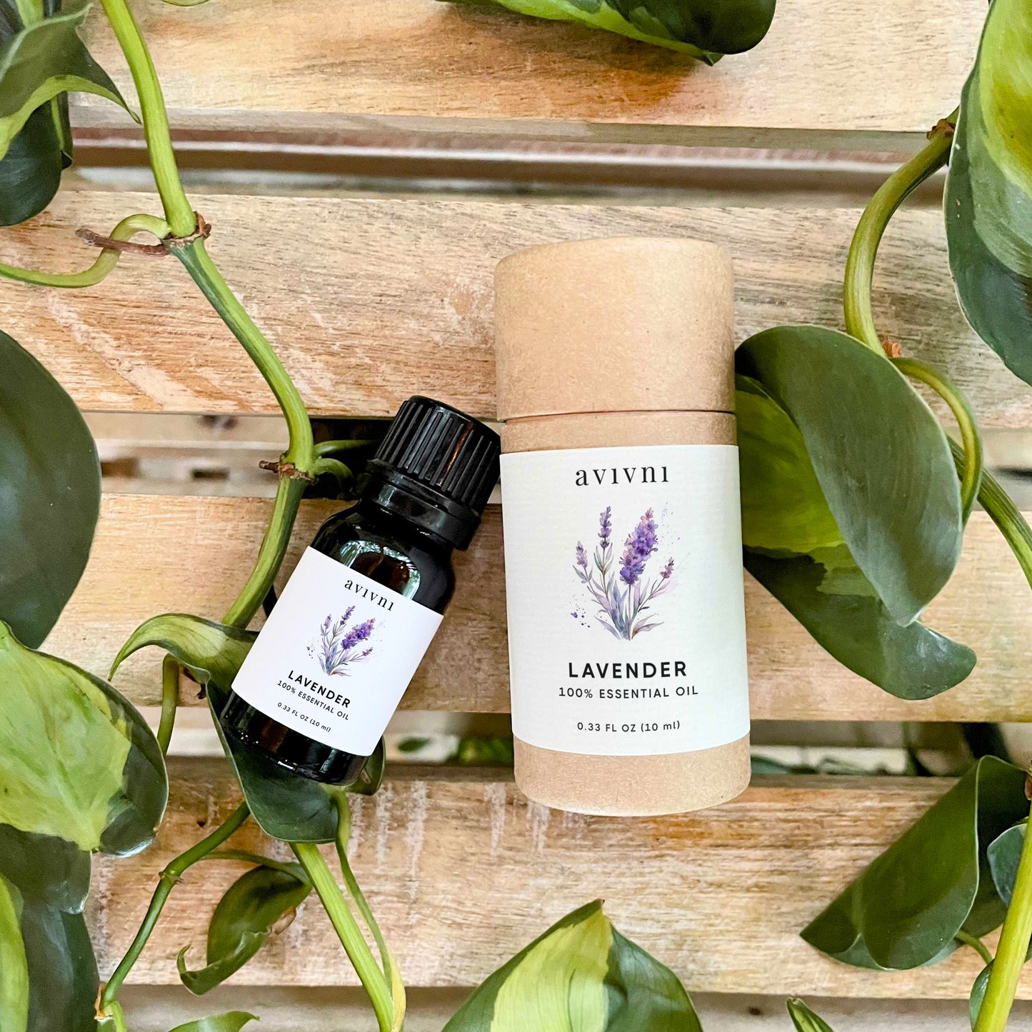 Avivni French Lavender Essential Oil- 100% Pure, Organic, Therapeutic Grade, 0.33oz (10ml)