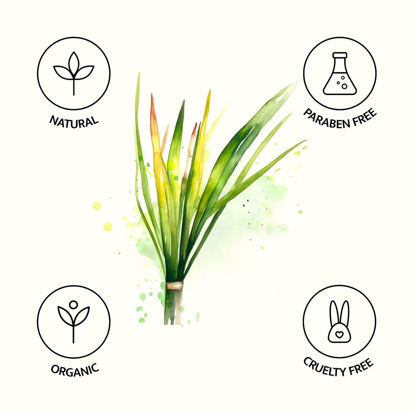 Avivni Lemongrass Essential Oil- 100% Pure, Organic, Therapeutic Grade, 0.33oz (10ml)