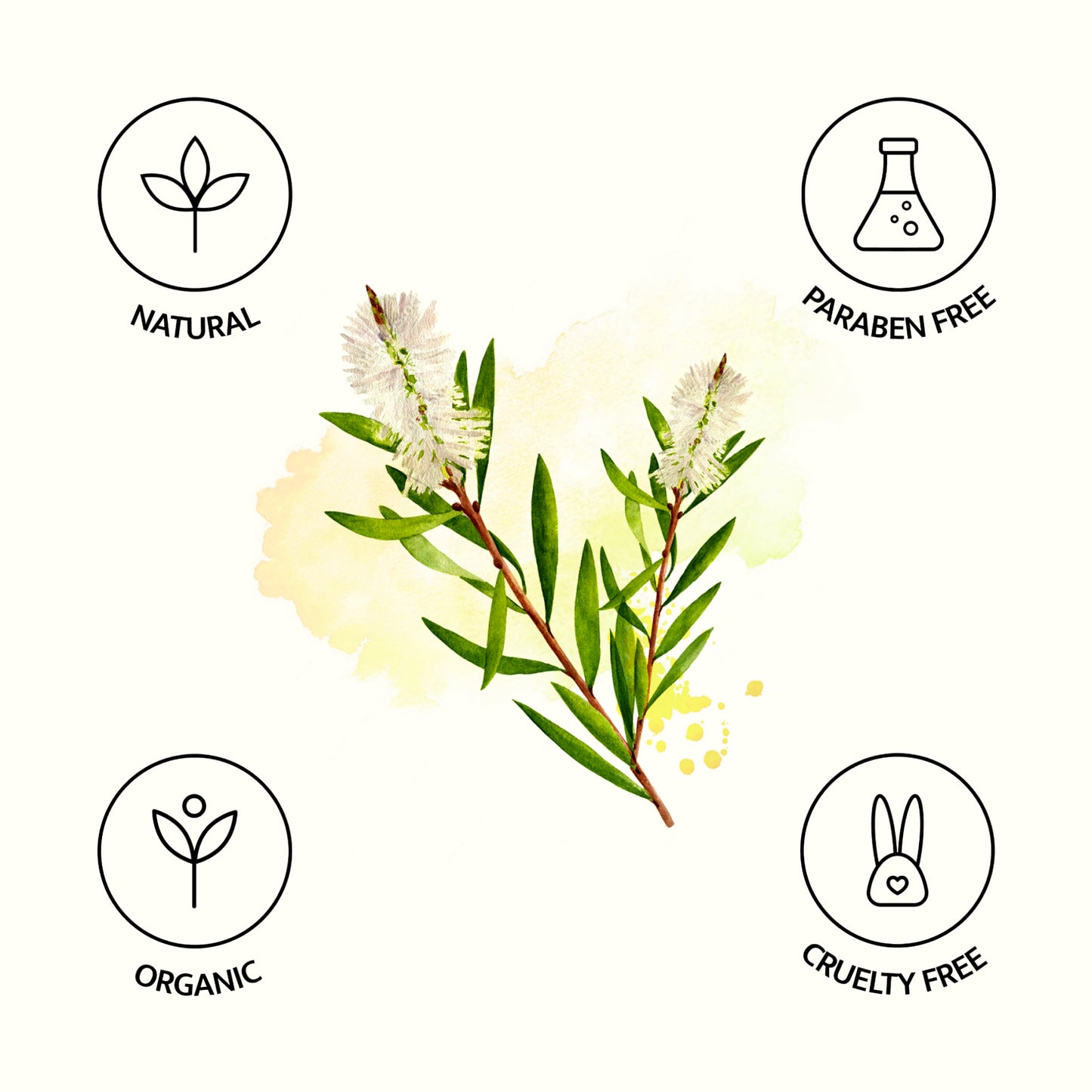Avivni Tea Tree Essential Oil- 100% Pure, Organic, Therapeutic Grade, 0.33oz (10ml)